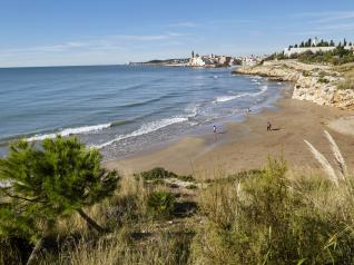 Platja Balmins